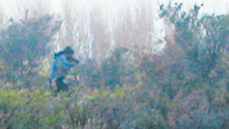 1810_maldonado_g1