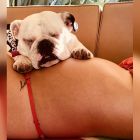 1106_china_suarez_g01