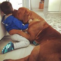 03messimascota