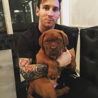 04messimascota