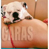 suarez-2