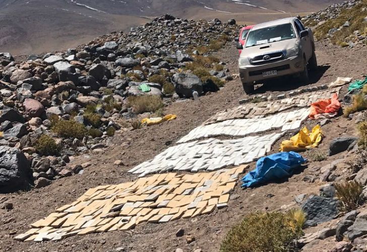 Gendarmería secuestró más de 500 kilos de marihuana cerca del volcán Aracar