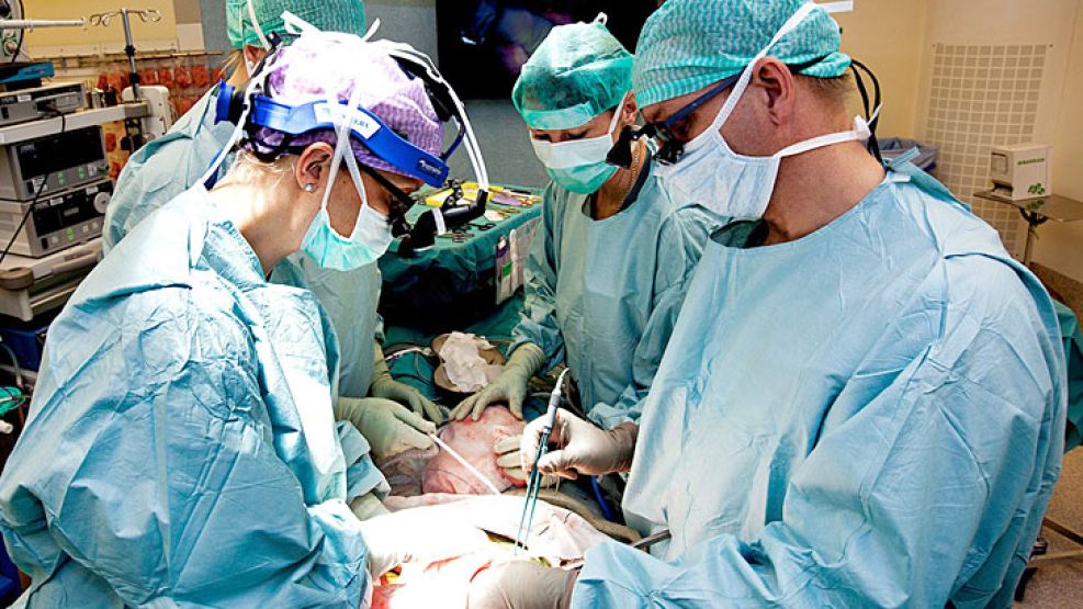 En agosto hubo récord histórico de trasplantes de órganos.