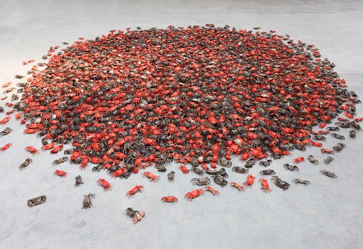 Inoculación, de Ai Weiwei, en Fundación Proa.