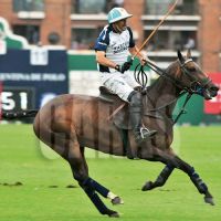 polo-1