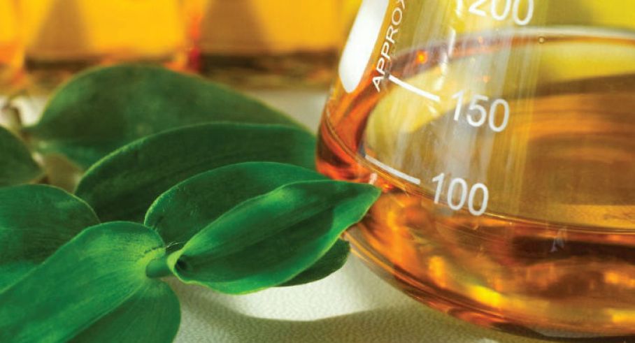 1226-biodiesel-diciembre-00