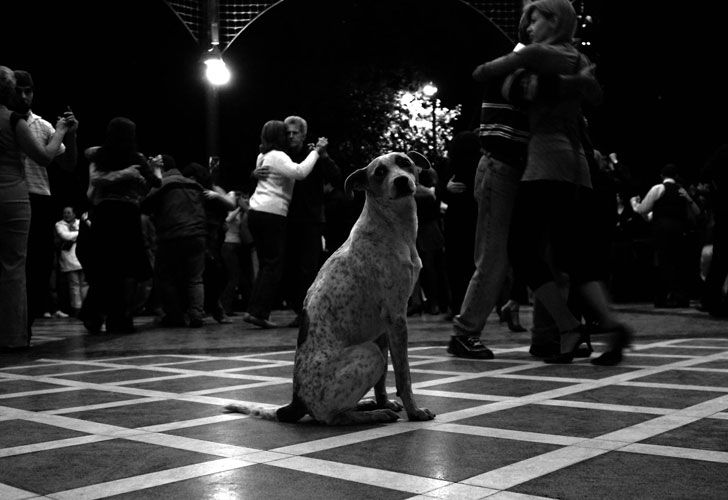 La muestra fotográfica Tango se exhibirá en Conjunto Nacional de San Pablo, Brasil.