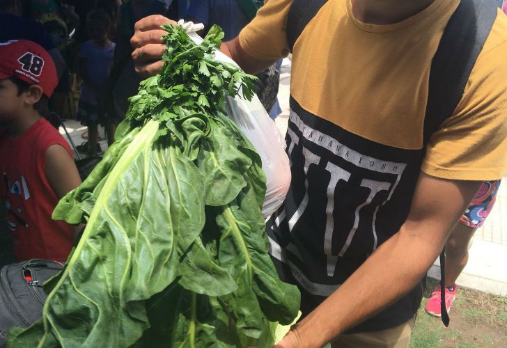 Productores agrupados en la Unión de Trabajadores de la Tierra (UTT) entregan 20 toneladas de verduras.