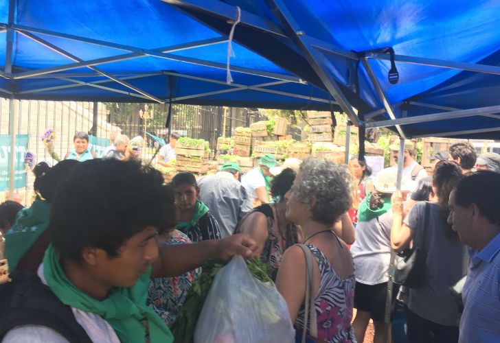 Productores agrupados en la Unión de Trabajadores de la Tierra (UTT) entregan 20 toneladas de verduras.