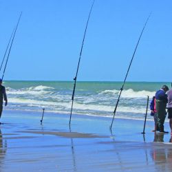 TORNEO DE PESCA AICACYP-041