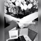 0117_Pampita_Pico_regalo_g