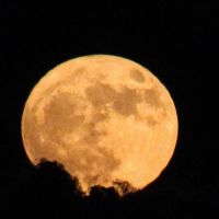 superluna-1
