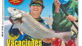 WEE-0544-001-TAPA FINAL