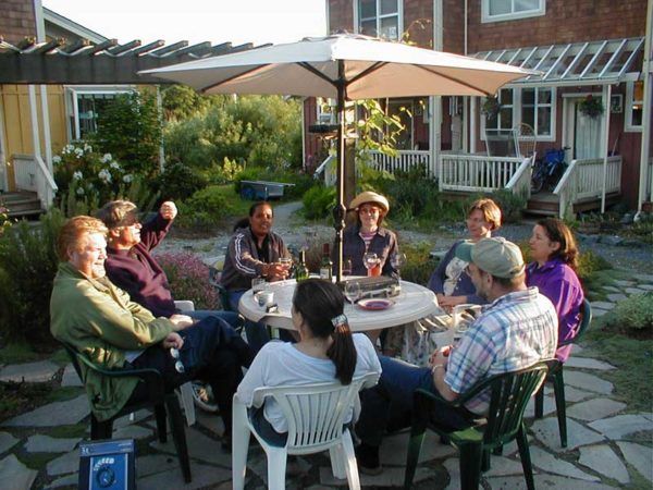 Conjunto de amigos que comparten el hogar.