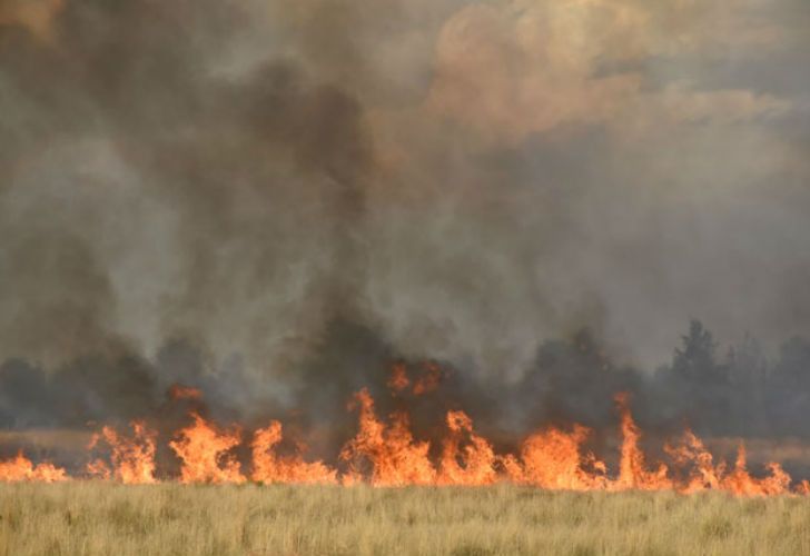 Incendios en La Pampa.