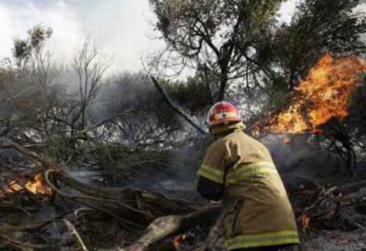 Los incendios en La Pampa y Mendoza arrasaron más de 200 mil hectáreas.