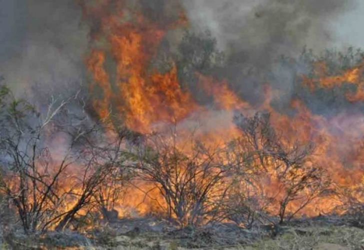 Los incendios forestales en La Pampa y Mendoza ya arrasaron con más de 230 mil hectáreas.