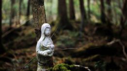 El mítico bosque de Aokigahara