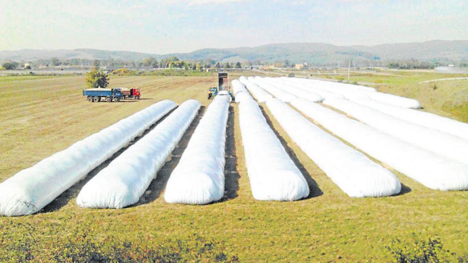 20180112_1272_economia_silos