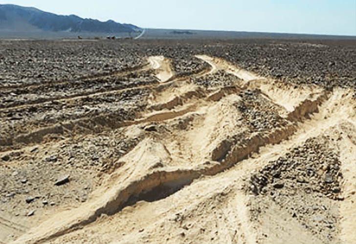 Huellas del camión sobre Lineas de Nazca