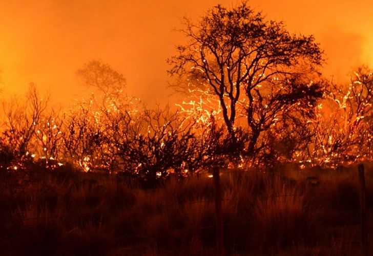 Incendios forestales quemaron ya más de 600.000 hectáreas en La Pampa y alrededor de 4.000 en Sierra de la ventana