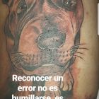 Mensaje Martin Casar (2)