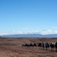 10022018-desierto-agafy-002-014