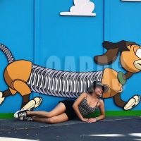img-20180216-wa0054-copy
