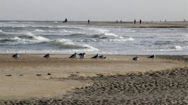 Vacaciones_de_invier_55667363(5)