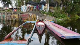 Xochimilco_en_barco_55166673(5)