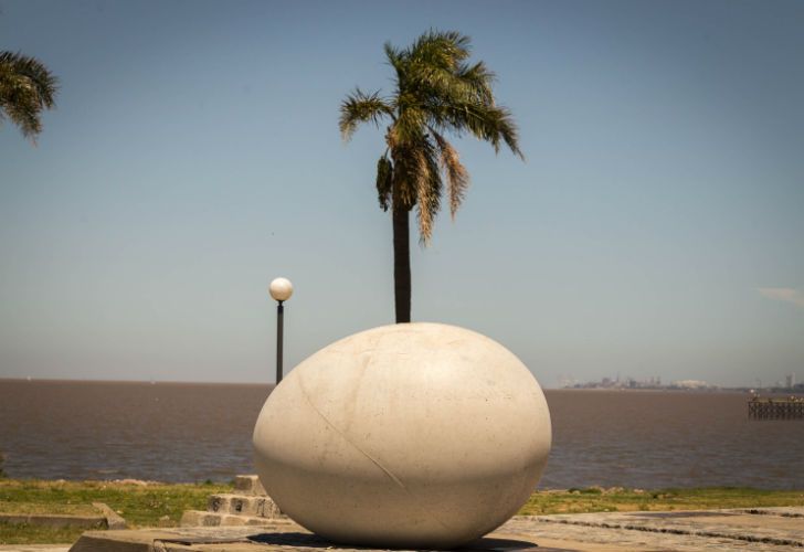 Los huevos "descansan de manera natural" en los espacios verdes de Vicente López.
