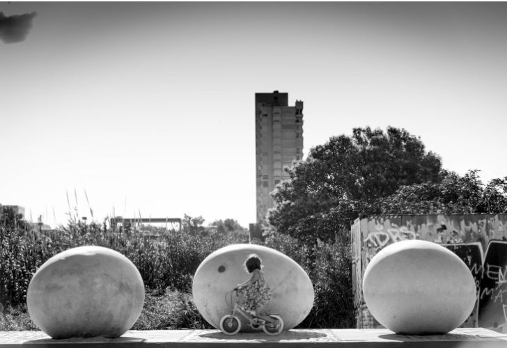 Los huevos "descansan de manera natural" en los espacios verdes de Vicente López.