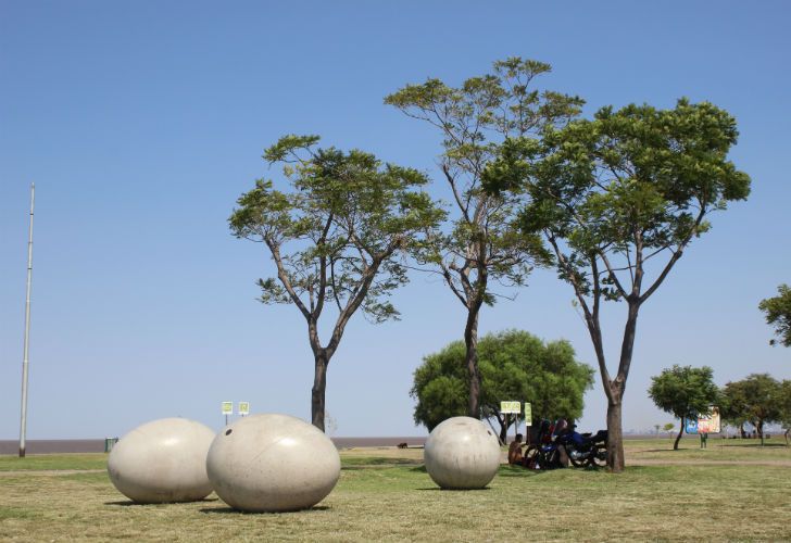 Los huevos "descansan de manera natural" en los espacios verdes de Vicente López.