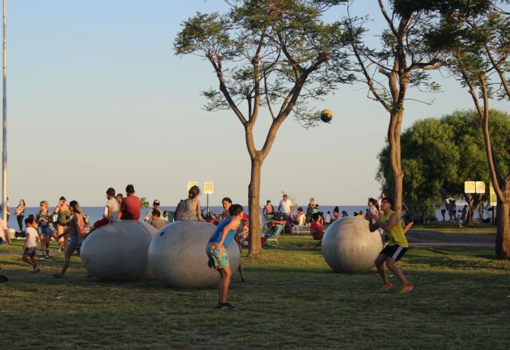 Los huevos "descansan de manera natural" en los espacios verdes de Vicente López.