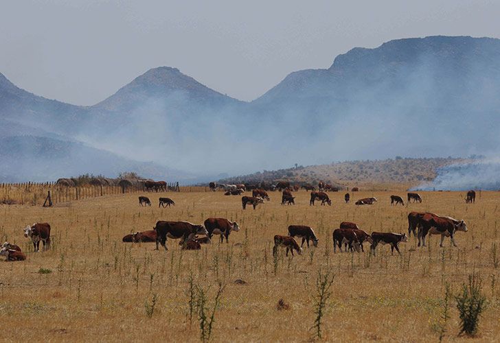 Combaten incendio que afecta 4.000 hectáreas en campos de Sierra de la Ventana