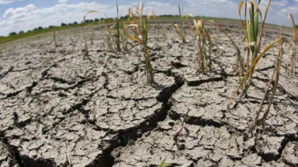 Fotos | "La sequía más importante de los últimos 70 años" en Argentina |  Perfil