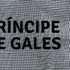 0315_principe_gales