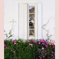 010awada