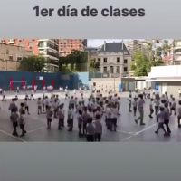 01vicunaclases