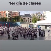 02vicunaclases