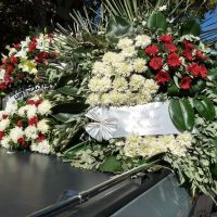 03disiadios