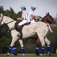 cambiaso-2