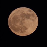 luna-3