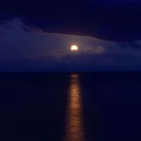 luna-4