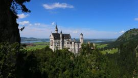 Crean_banco_de_datos_56082208