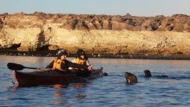 kayak golfo san jose 4