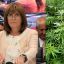 Security Ministry accused of stymieing medicinal cannabis