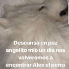 Alex-Flavio Mendoza