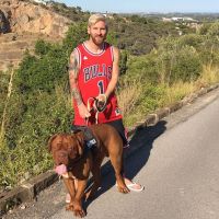 mascotas-40