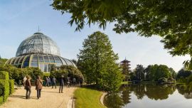 Los_invernaderos_Rea_56581309(1)